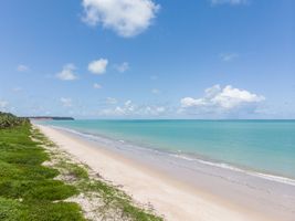 Vila Galé Alagoas </br> Consciência Negra