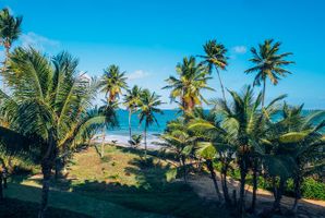 Iberostar Bahia </br> Férias de Julho