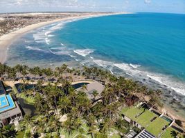 ㅤㅤCarmel Taíbaㅤㅤ Baixa Temporada