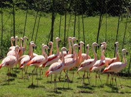 Portobello Resort </br> Dia das Crianças