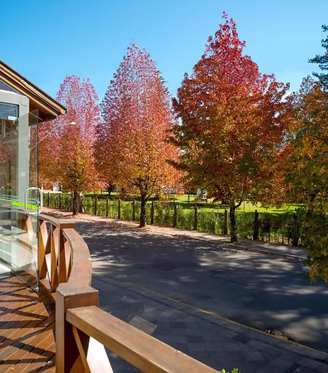 PACOTE HOTEL + AÉREO GOLDEN HILLS VILA SUZANA