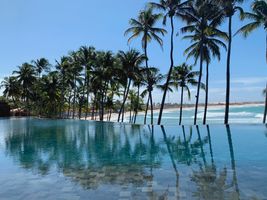 Carmel Taíba </br> Férias de Julho