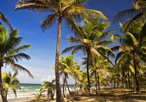 Mar Premium </br> Consciência Negra