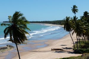 PROMOÇÃO MACEIO-AL 8 DIAS - MAIO 2026
