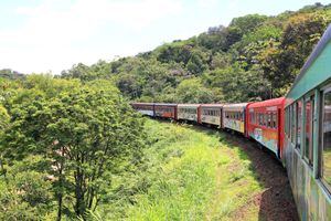 Curitiba de Trem - Especial Bloqueios Aéreos - Mabu Curitiba Business