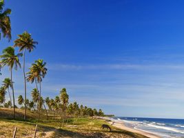 ㅤ Mar Premiumㅤ Tiradentes + Quase Esgotado!