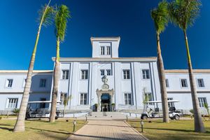 Collection Ouro Preto </br> Consciência Negra