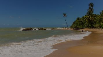 Asenza Beach Resort + Últimas Disponibilidades!