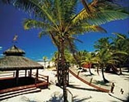 ㅤㅤComandatubaㅤㅤ Independência + Aproveite em até 15x s/juros!